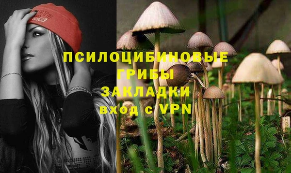 крисы Алзамай
