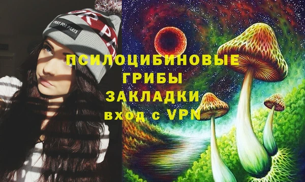 крисы Алзамай